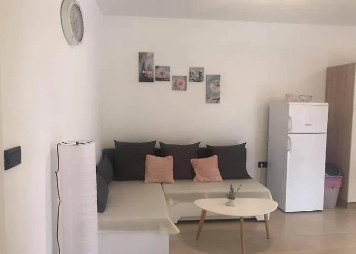 Apartment Dokic *